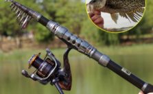 Best Telescopic Fishing Rod