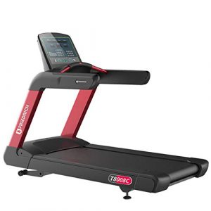 treadmill friedrich